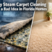 Why Steam Carpet Cleaning Is a Bad Idea in Florida Homes And What Actually Works