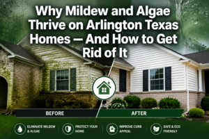 Complete Guide to Mildew Removal for Arlington Texas Homes