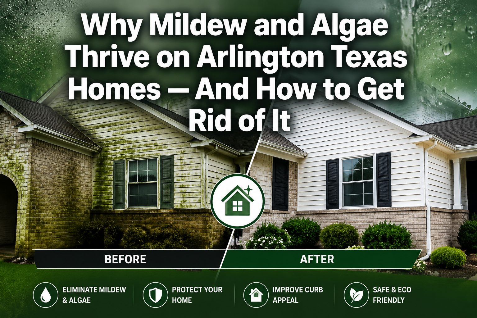 Complete Guide to Mildew Removal for Arlington Texas Homes